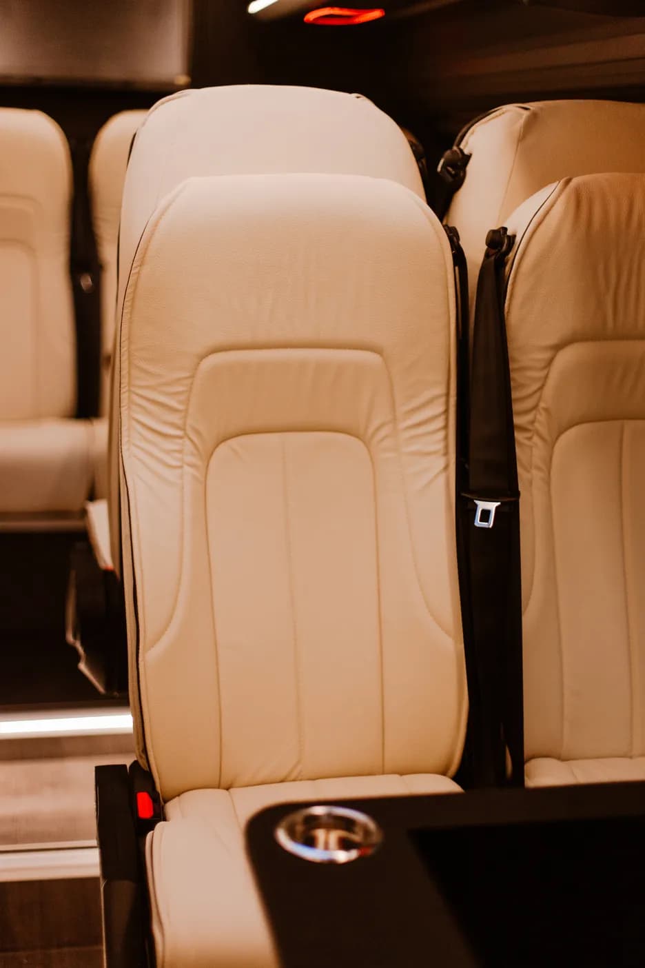 SK Luxury Tours gallery image 30