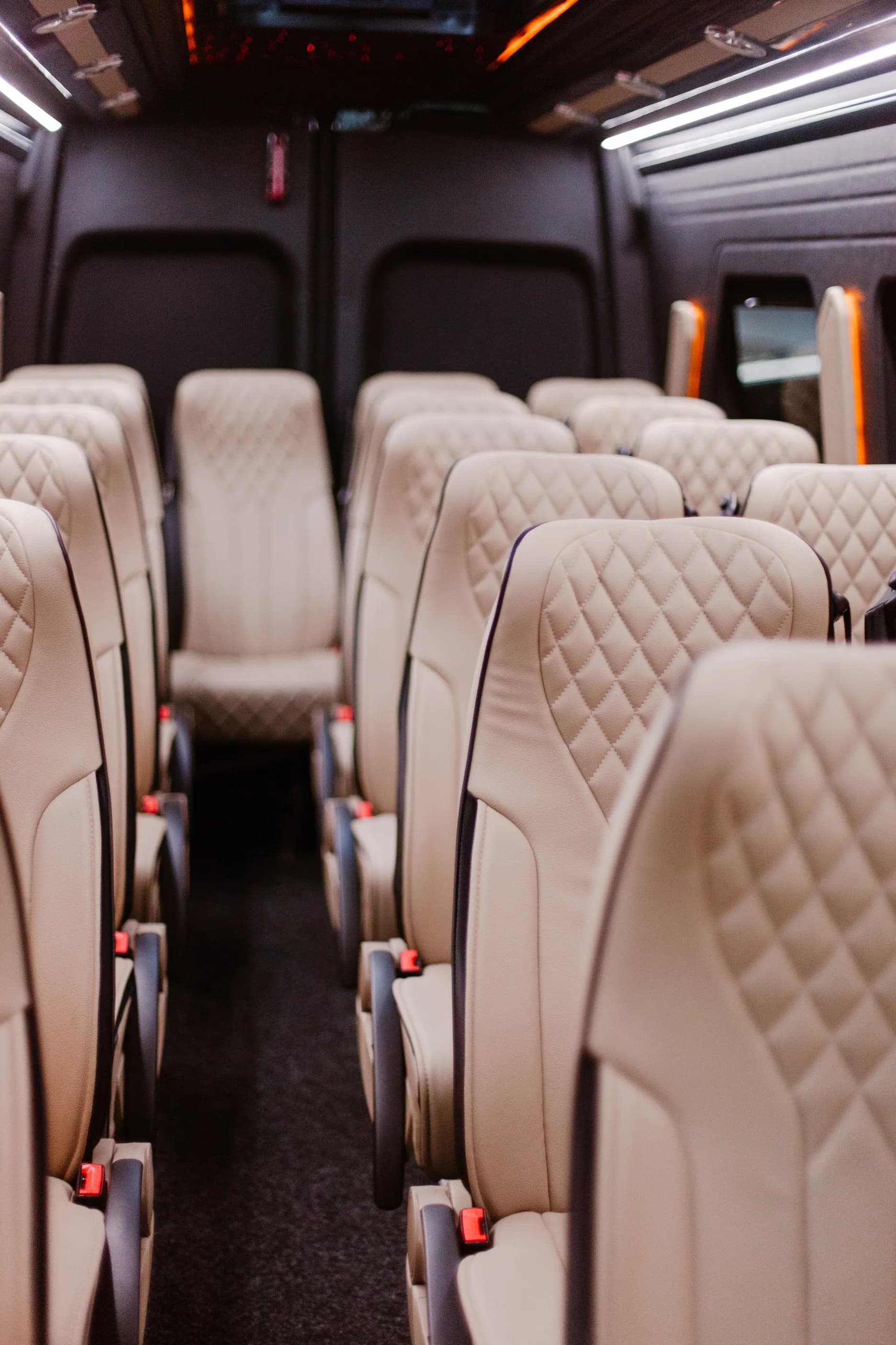 SK Luxury Tours gallery image 49