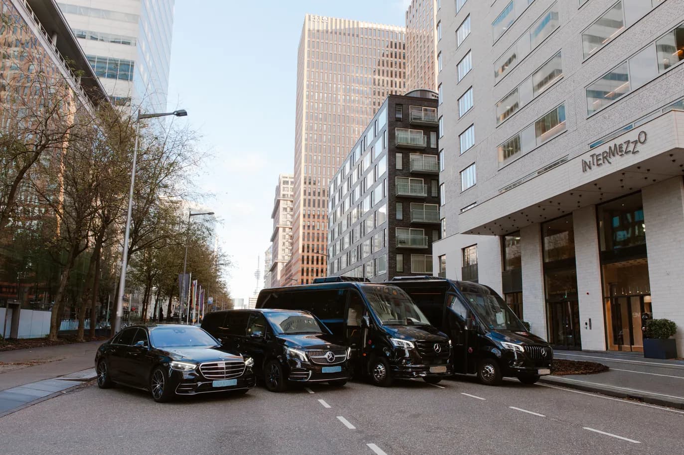 SK Luxury Tours gallery image 7